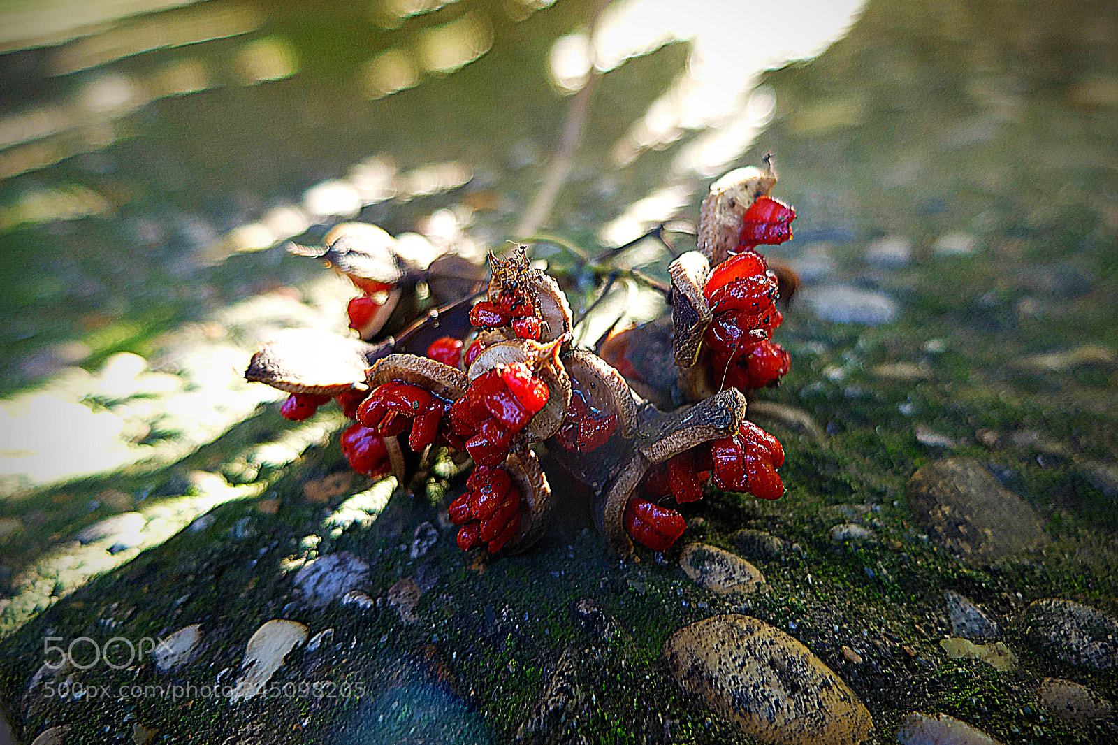 Fujifilm X20 sample photo. Copia photography
