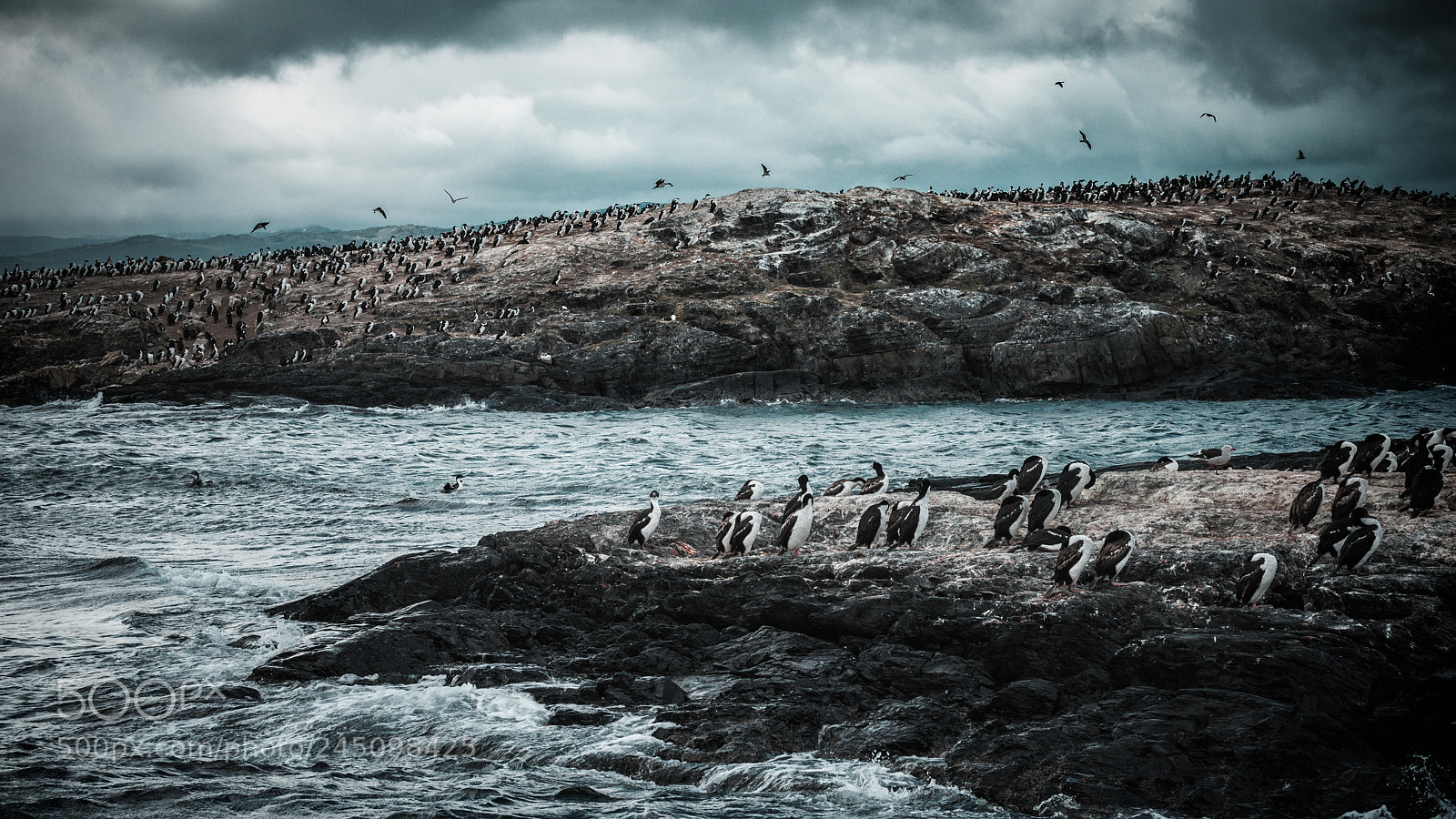 Nikon D600 sample photo. Ushuaia photography