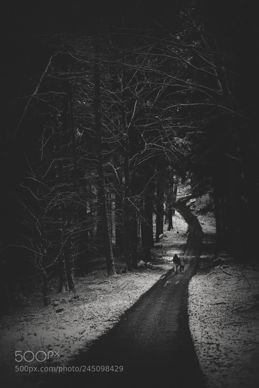 Pentax K-1 sample photo. Forest road photography