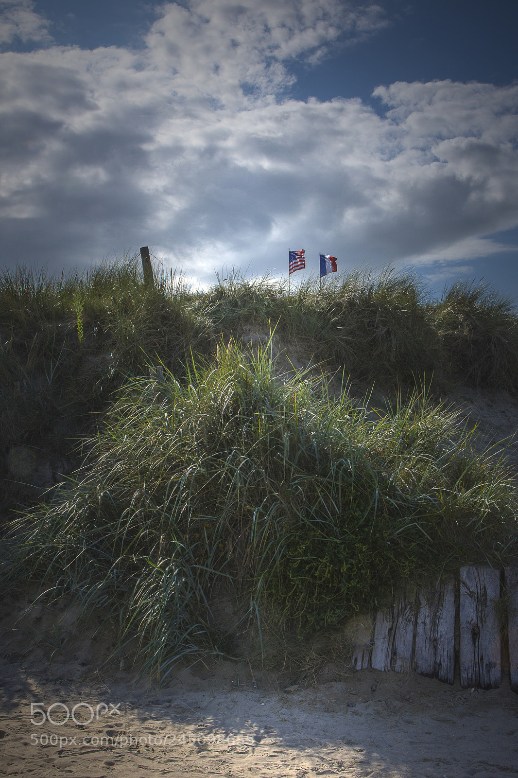 Nikon D7200 sample photo. Flags of liberty photography