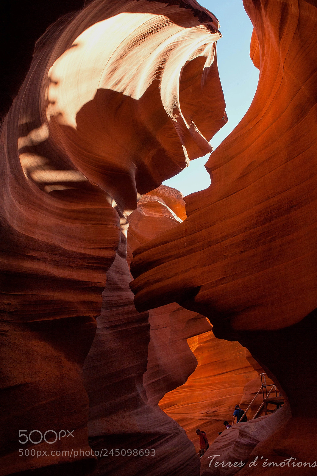 Nikon D3 sample photo. Way in to lower photography