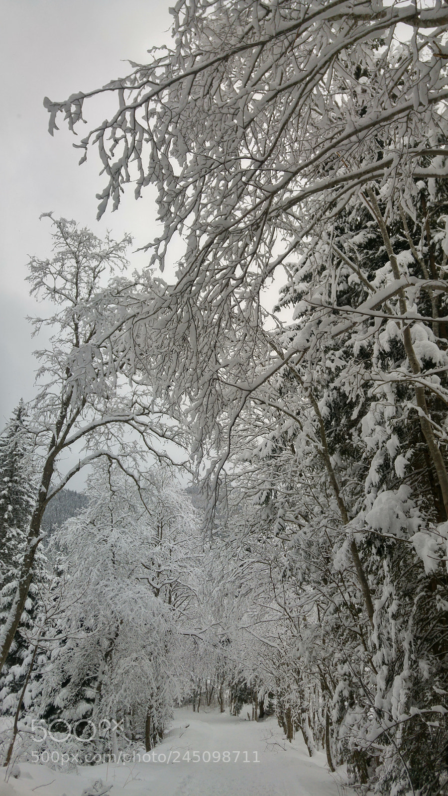 LG G4 sample photo. Snow road photography
