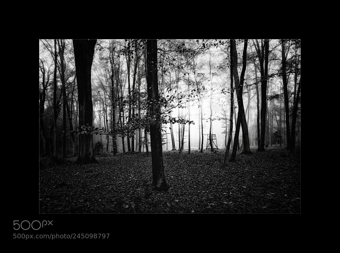 Canon EOS 5D sample photo. Der jägerstand photography