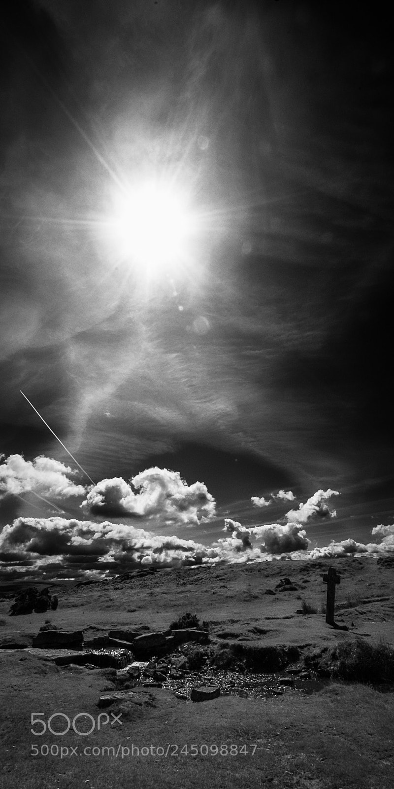 Nikon D70 sample photo. Untitled photography
