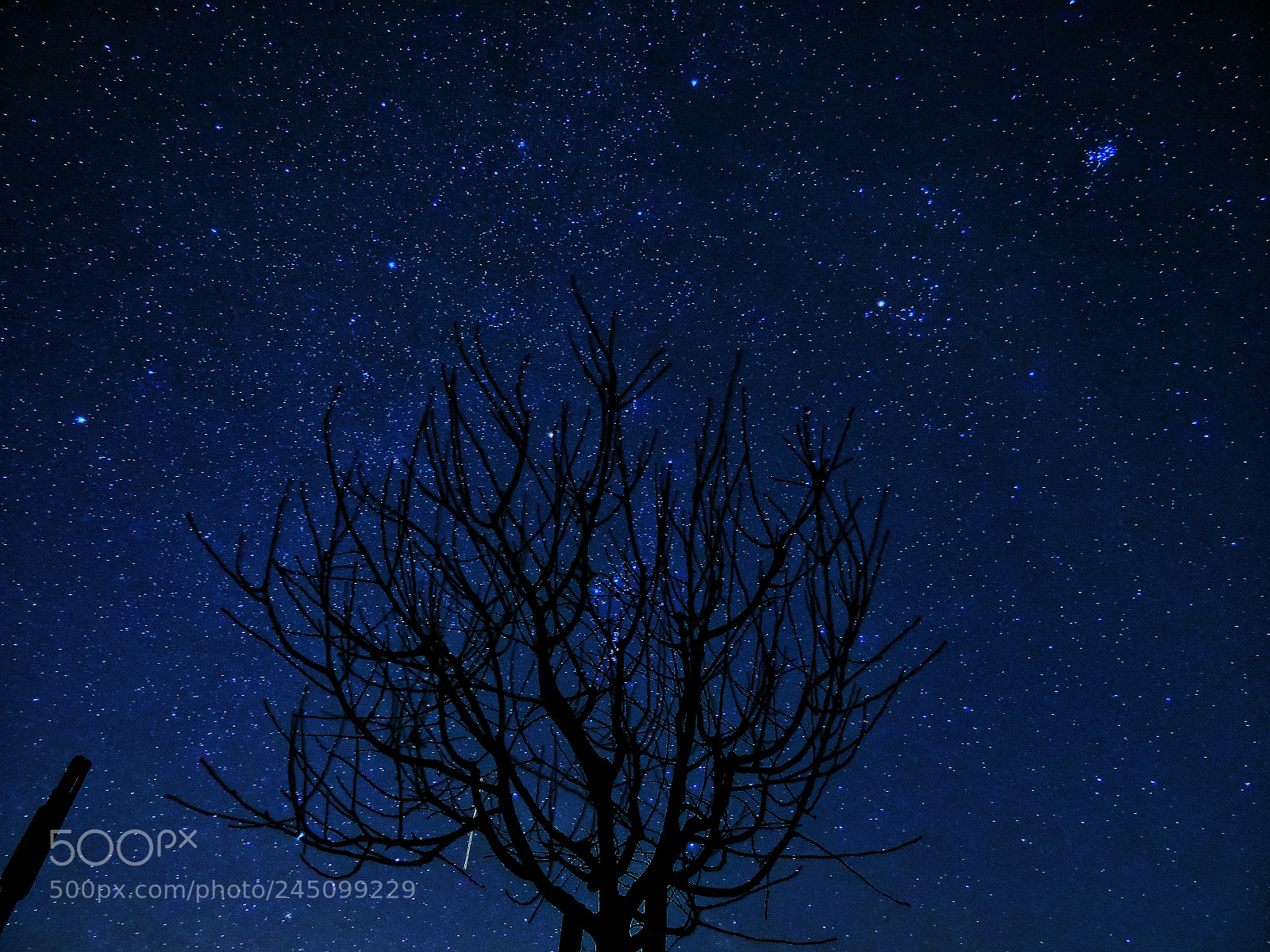 Panasonic Lumix DC-G9 sample photo. Only the stars shine photography