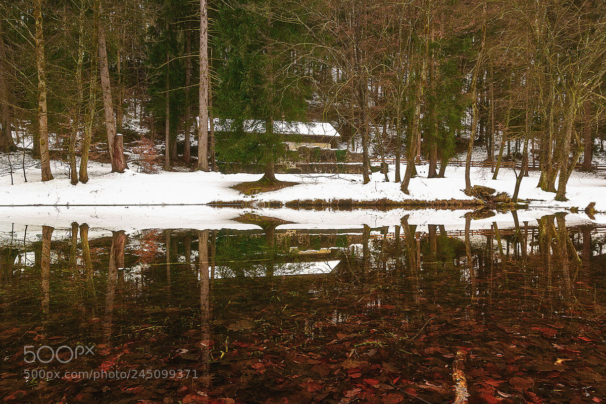 Sony SLT-A68 sample photo. Reflection in the park photography