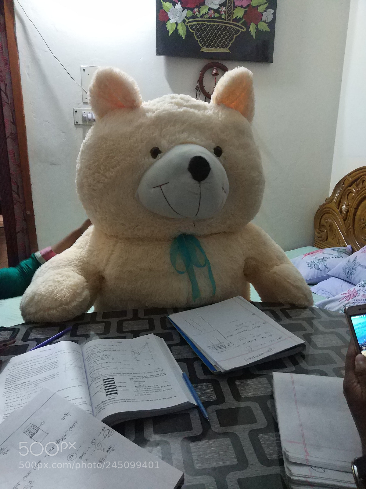 Xiaomi MI 5s sample photo. #teddy_student photography