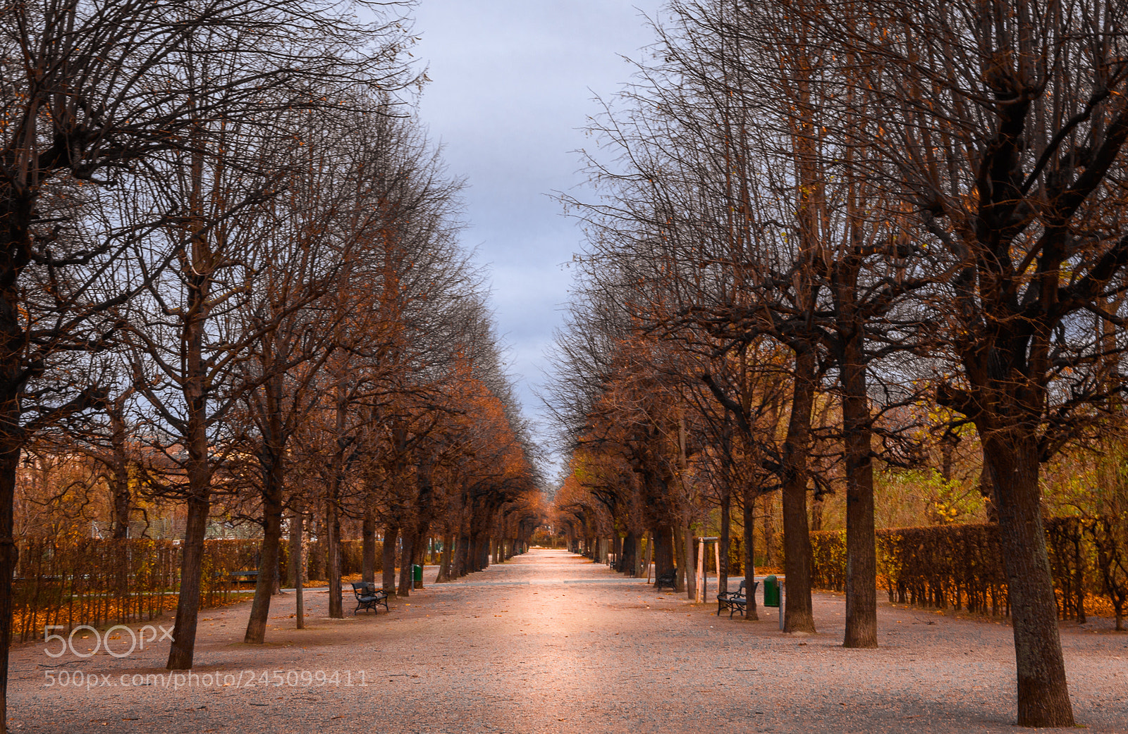Nikon D3200 sample photo. My own path photography
