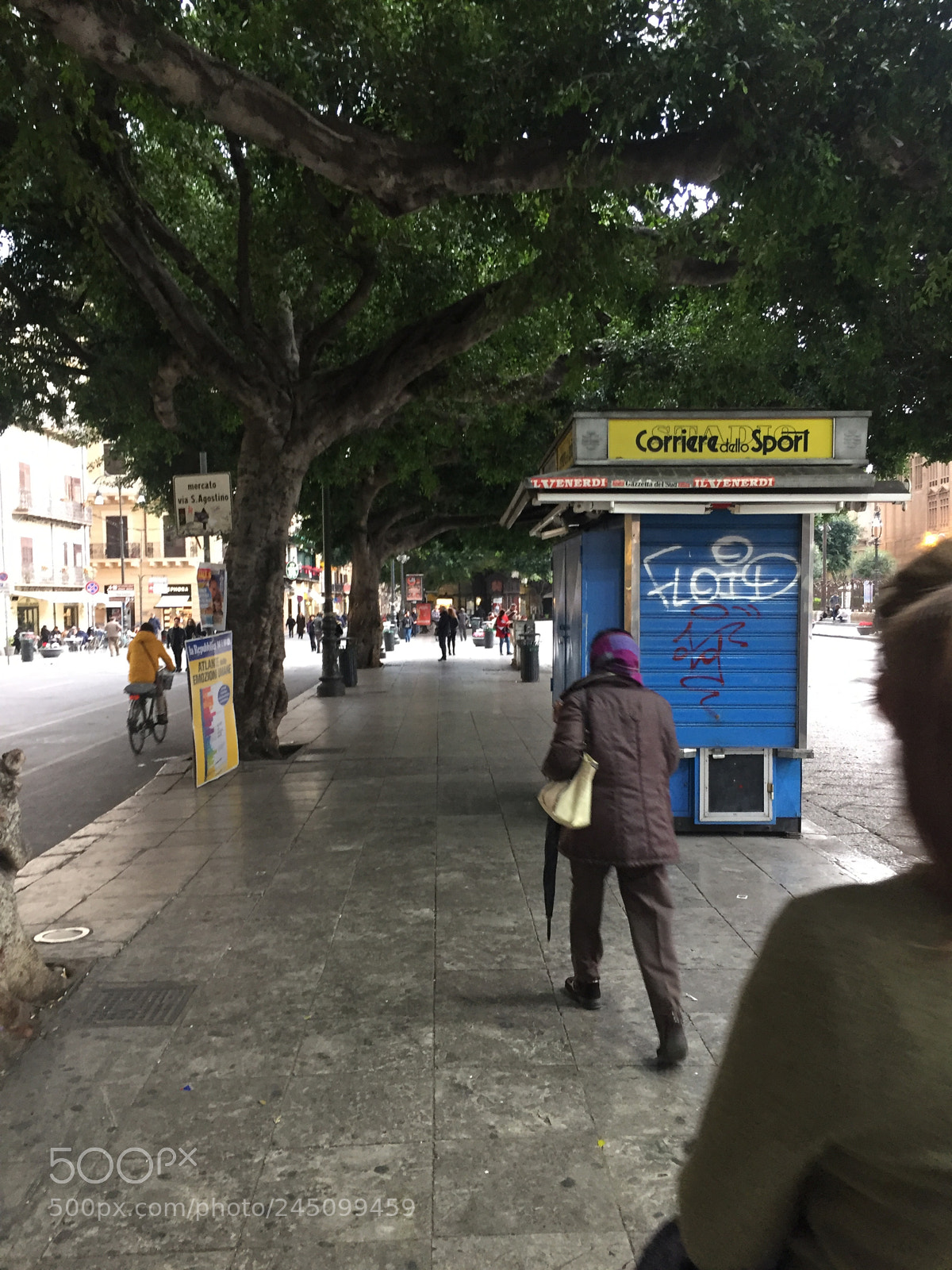 Apple iPhone 6 sample photo. Img photography