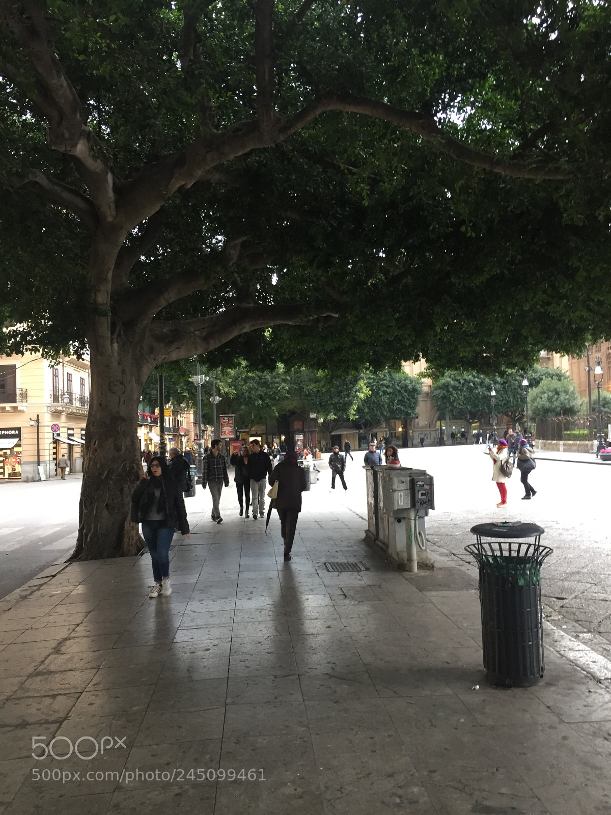 Apple iPhone 6 sample photo. Img photography
