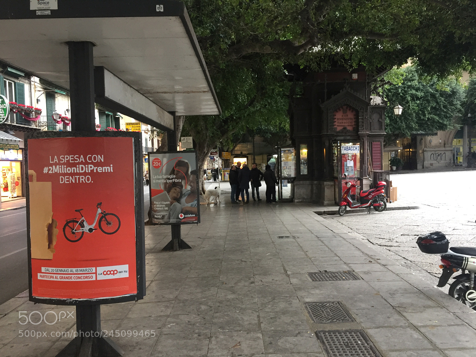 Apple iPhone 6 sample photo. Img photography