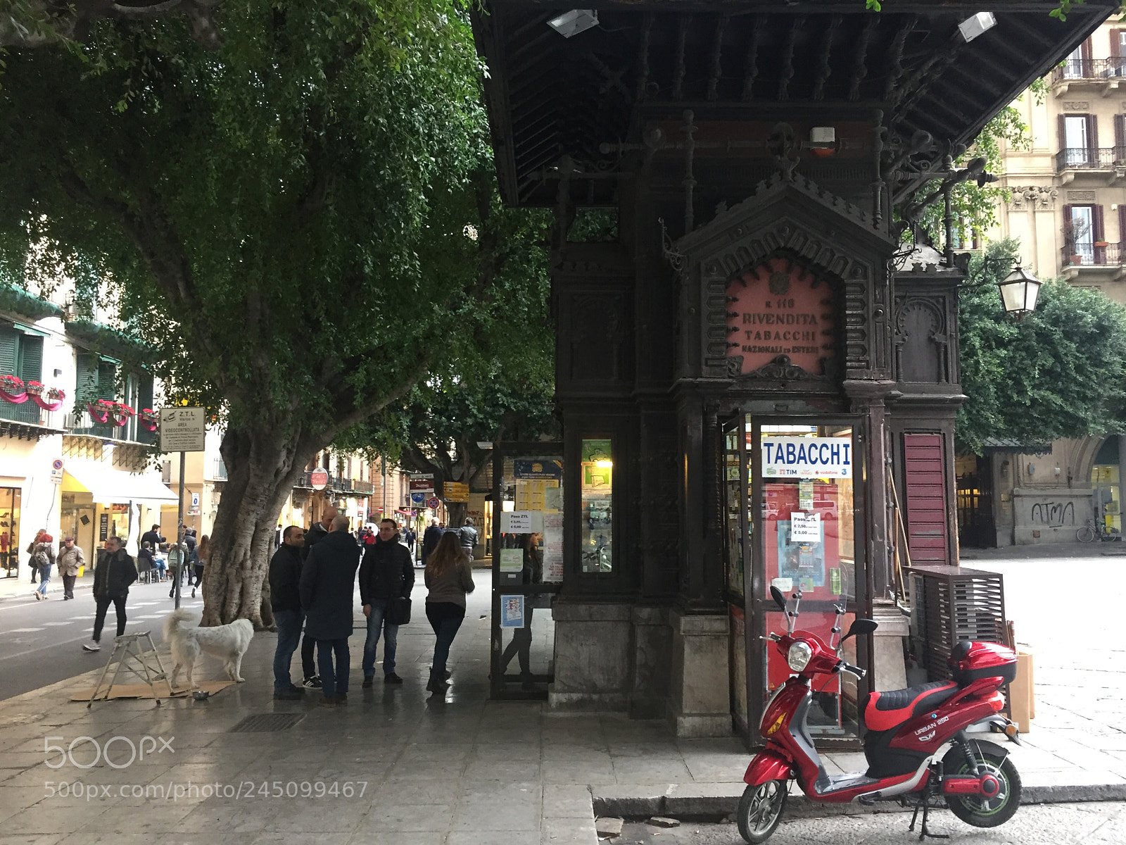 Apple iPhone 6 sample photo. Img photography