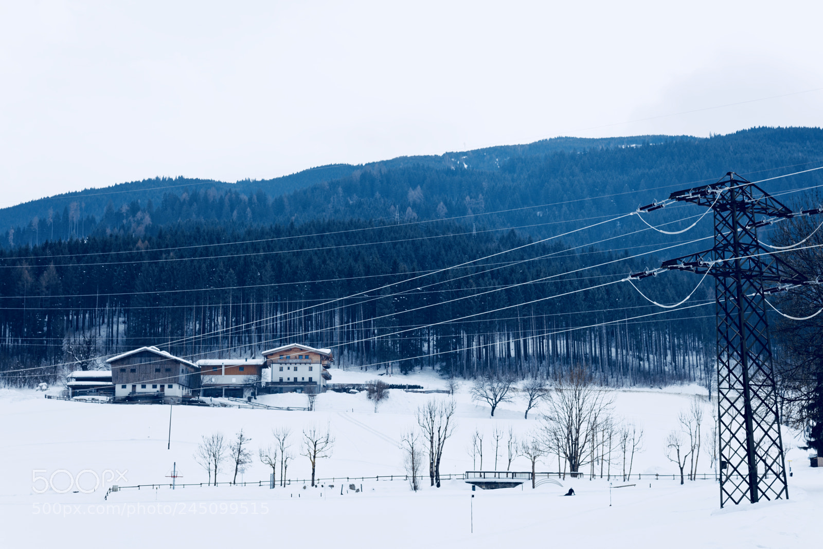 Canon EOS 5DS sample photo. Trees, wires, etc. photography