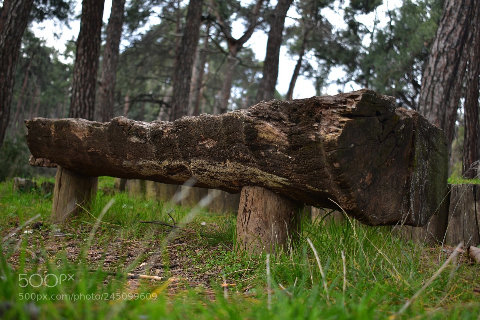 Nikon D3400 sample photo. Empty photography