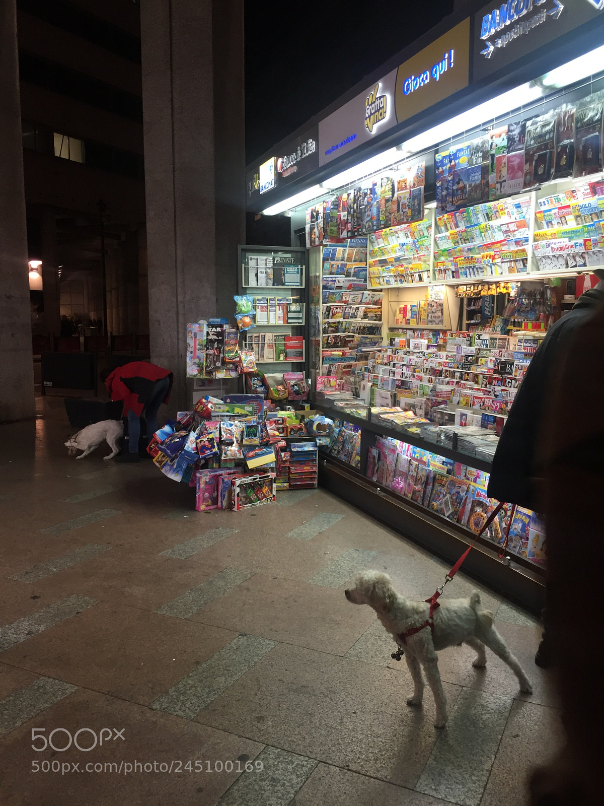 Apple iPhone 6 sample photo. Img photography