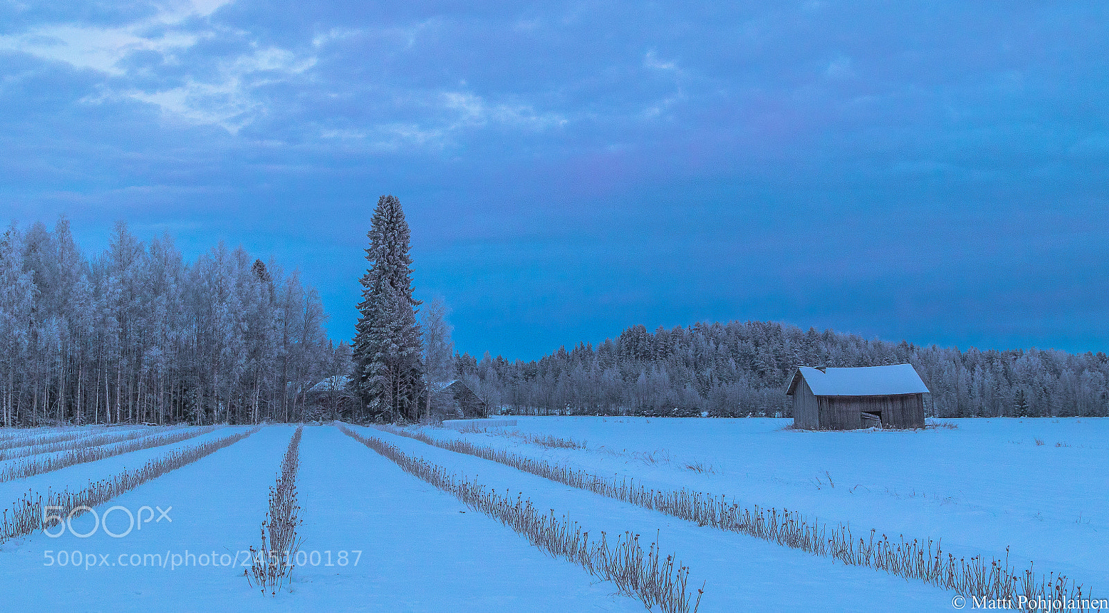 Canon EOS 7D Mark II sample photo. Blue moment photography