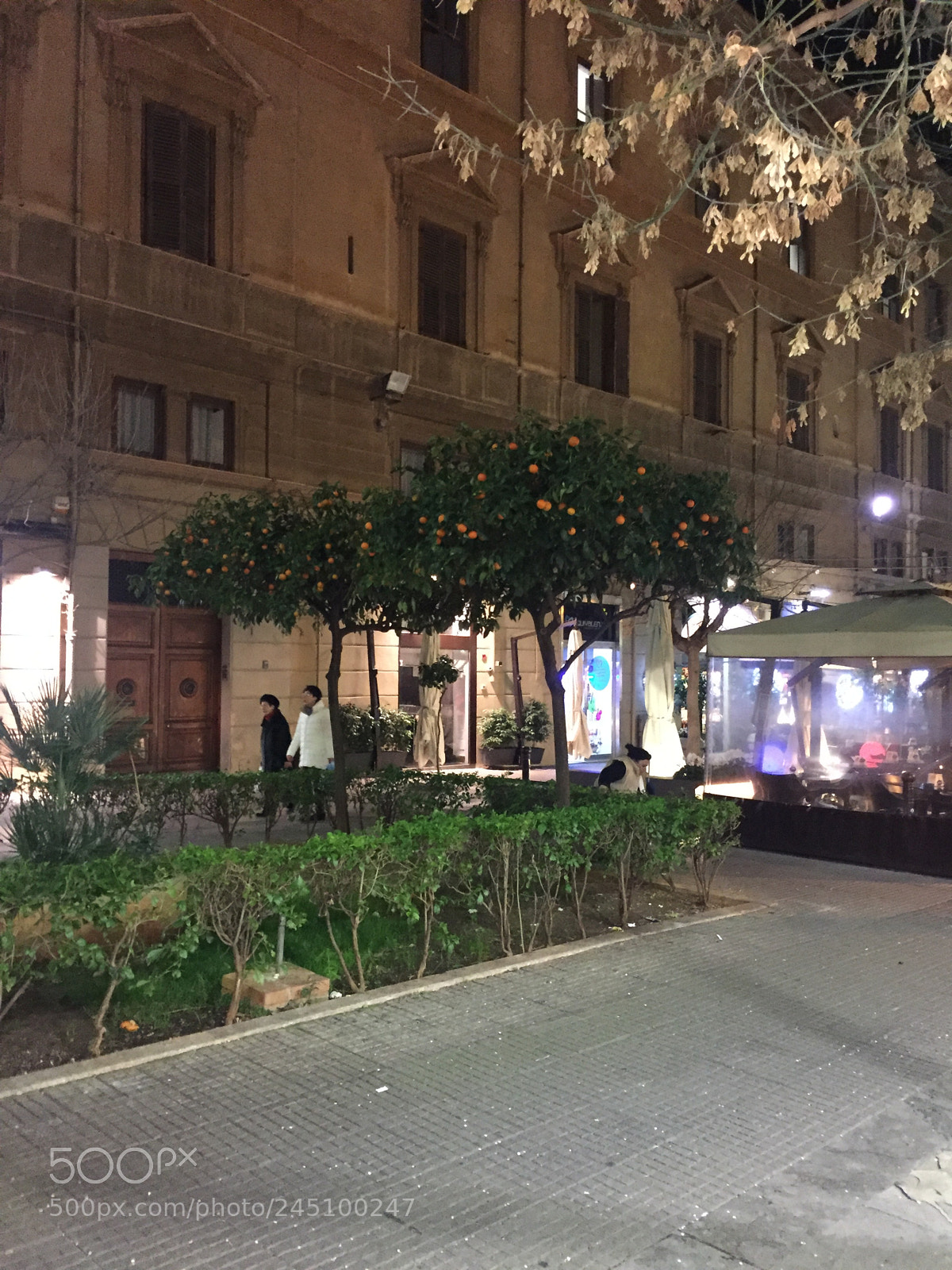 Apple iPhone 6 sample photo. Img photography