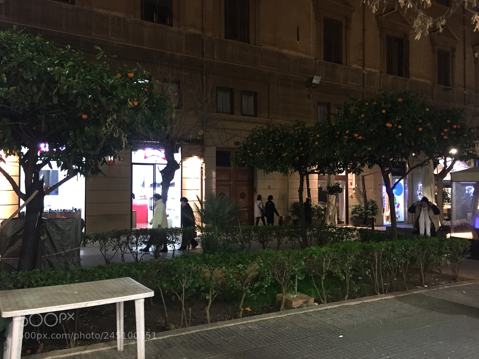 Apple iPhone 6 sample photo. Img photography