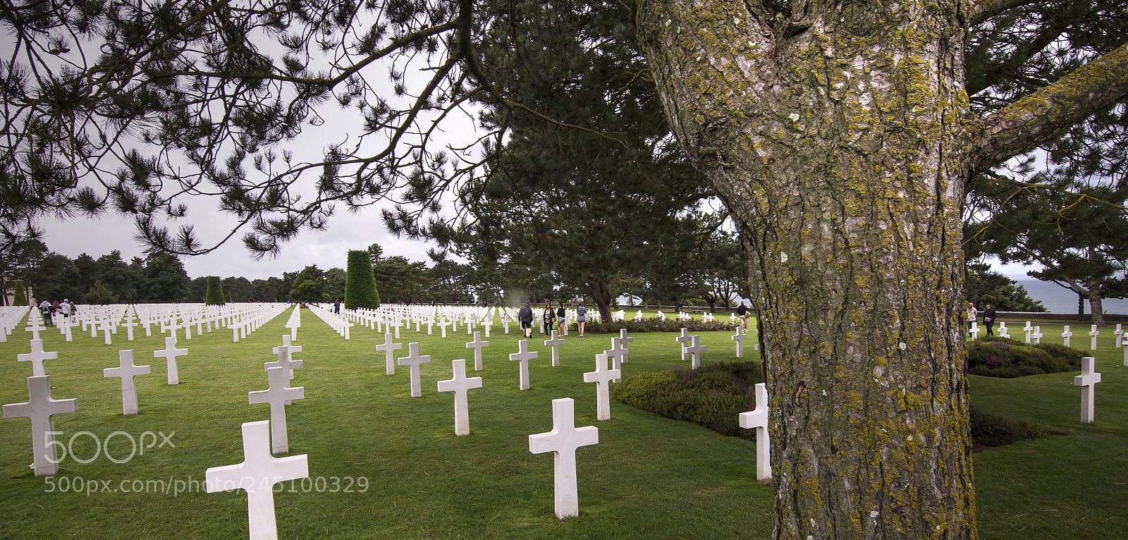 Nikon D7200 sample photo. American cemetery photography