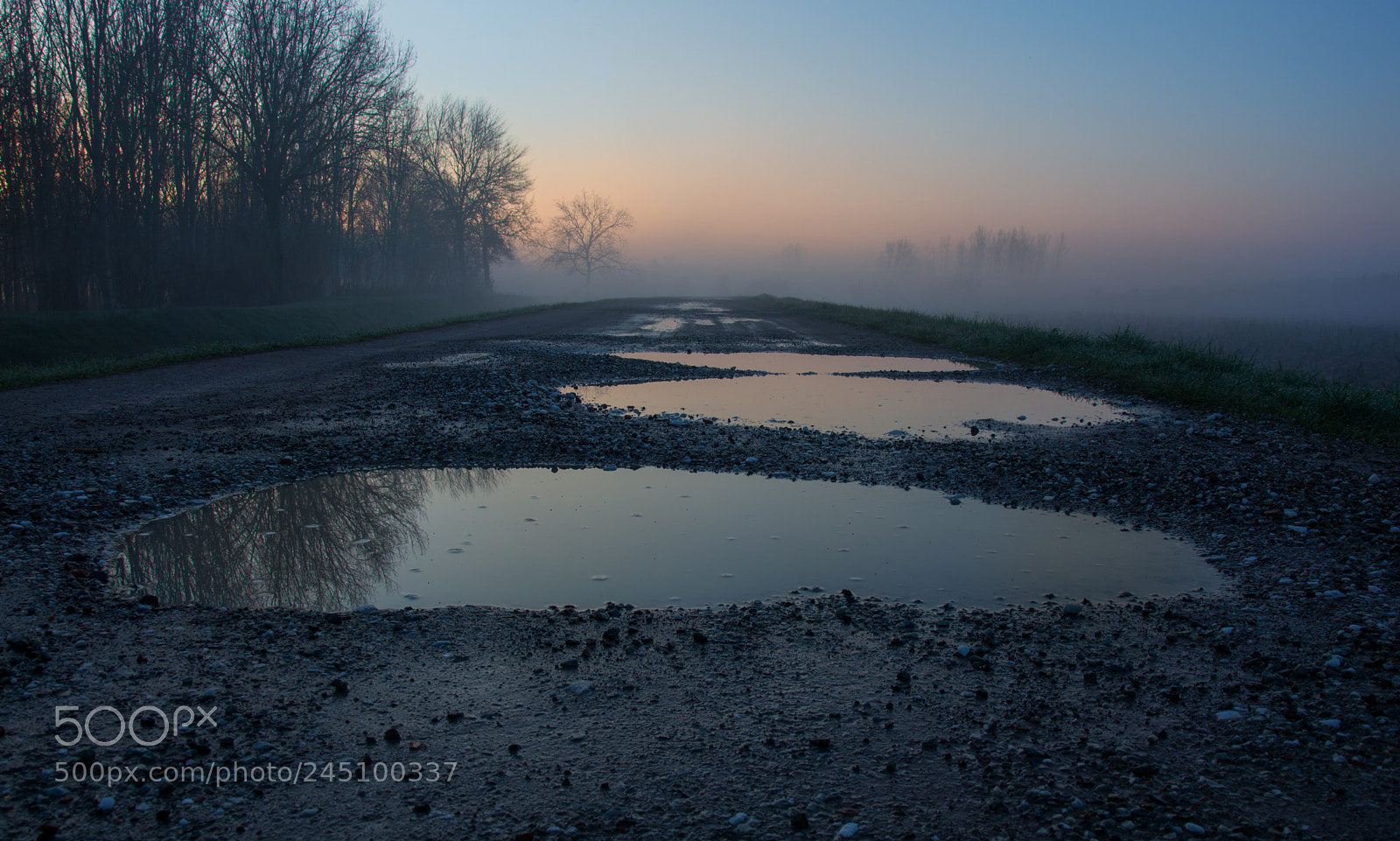 Nikon D7200 sample photo. Fog in the morning photography