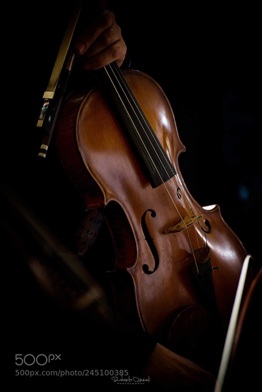 Nikon D610 sample photo. :::orchestra::: photography