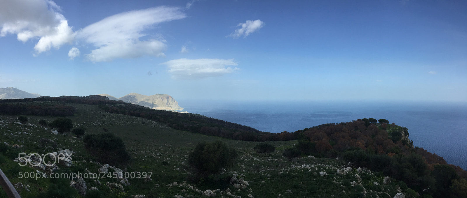 Apple iPhone 6 sample photo. Img photography
