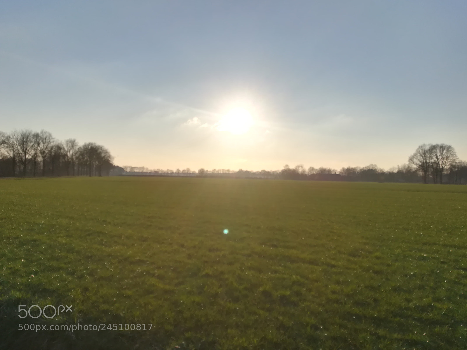 HUAWEI PRA-LX1 sample photo. Grassland photography