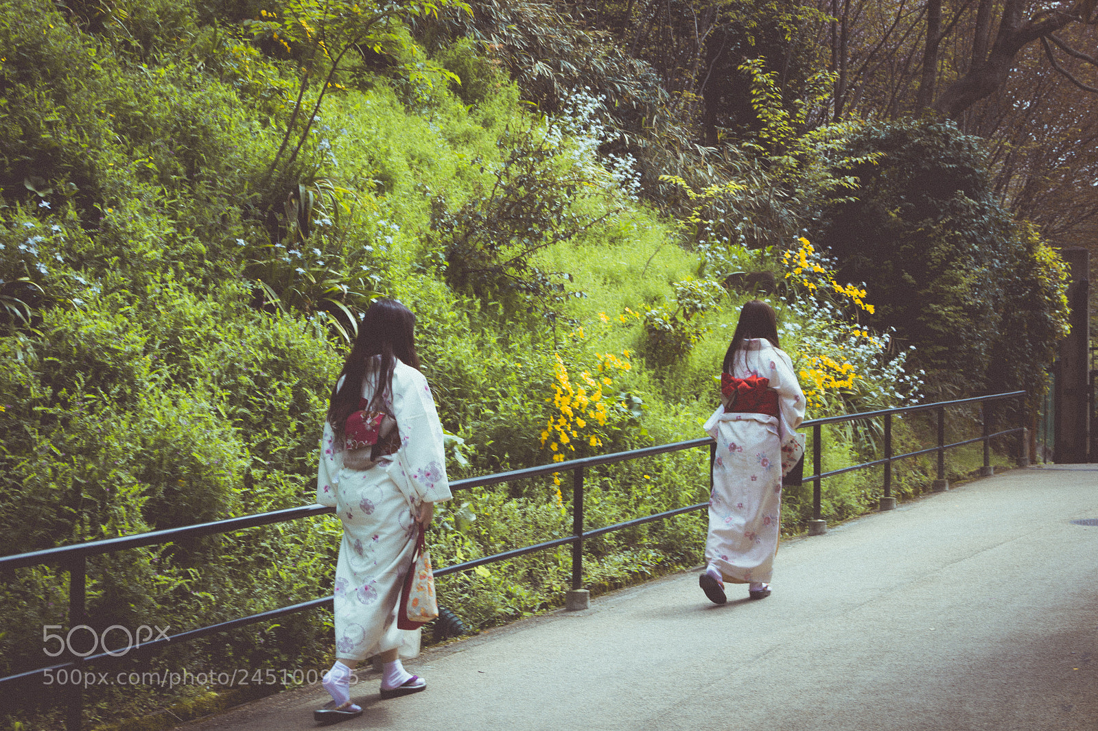 Canon EOS 550D (EOS Rebel T2i / EOS Kiss X4) sample photo. Kyoto #14 photography
