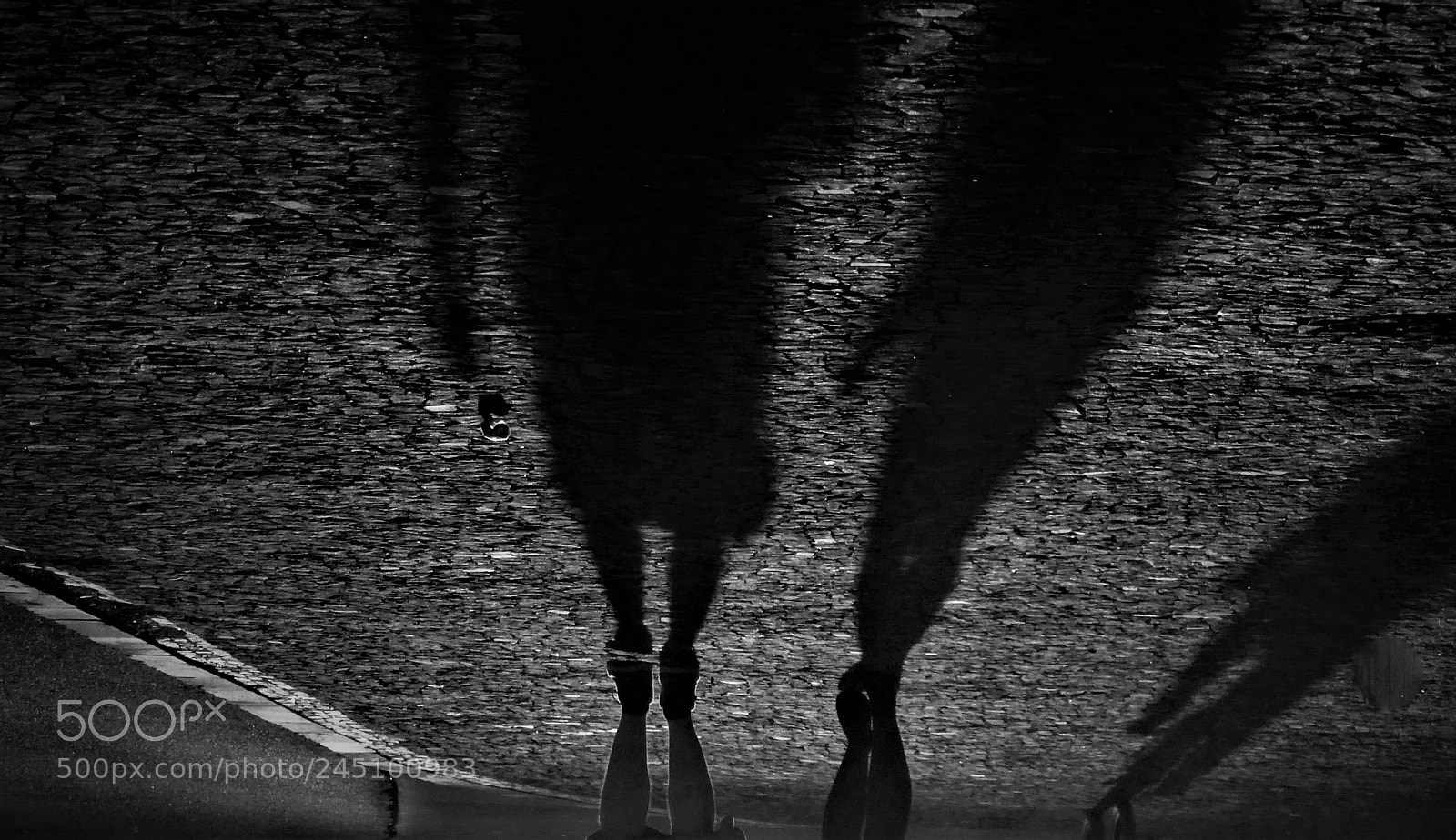 Panasonic Lumix DMC-ZS30 (Lumix DMC-TZ40) sample photo. Monsters in black ......................the photography