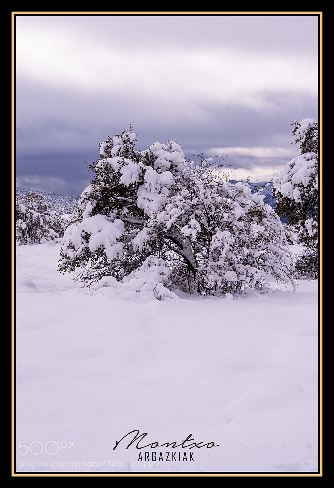 Nikon D700 sample photo. Snow - winter photography