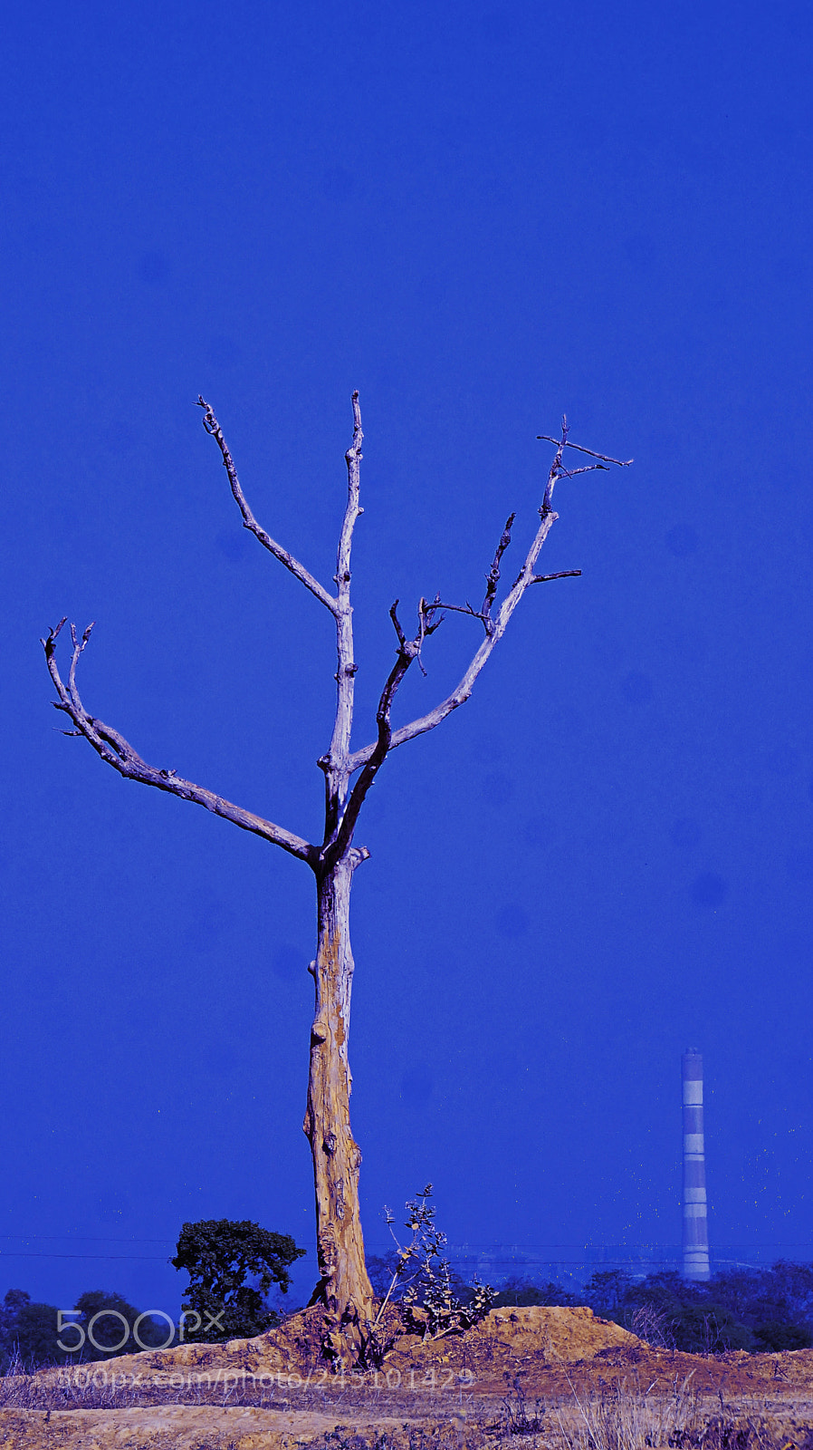 Sony Alpha a3500 sample photo. Untitled photography