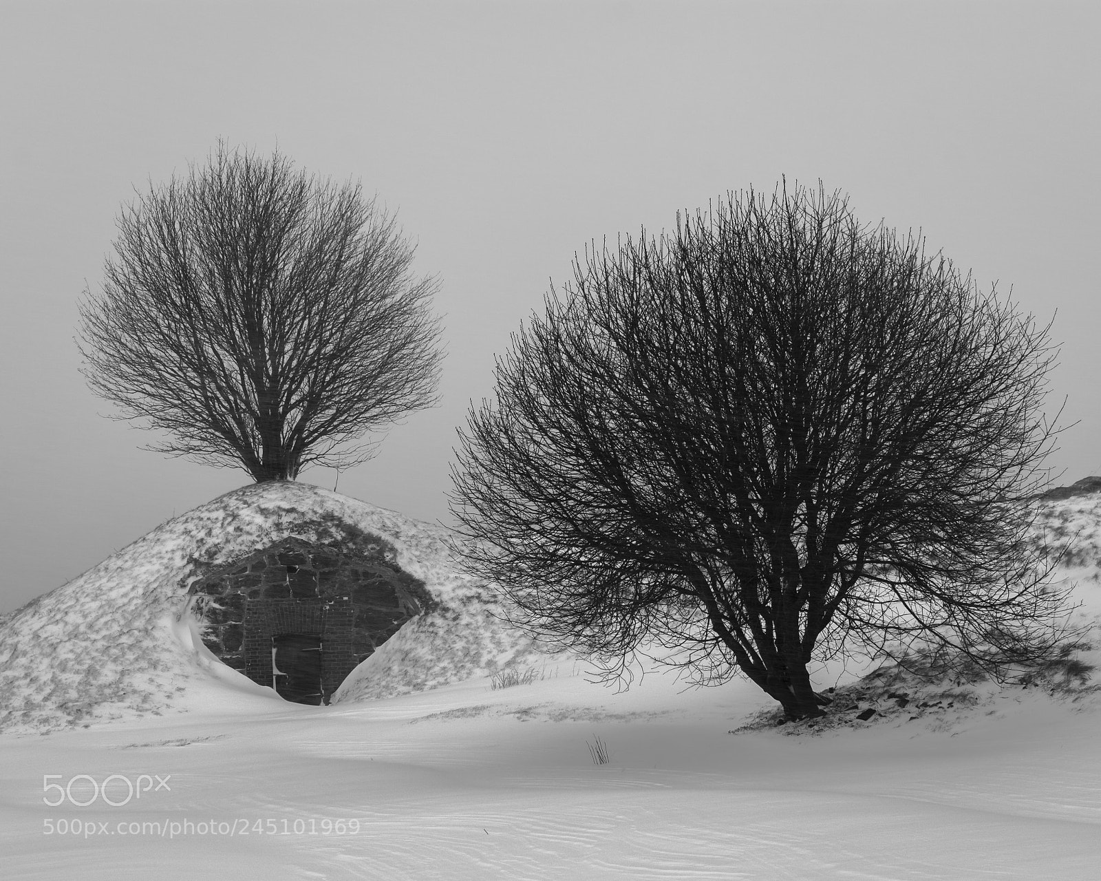 Nikon D5200 sample photo. Suomenlinna sea fortress photography