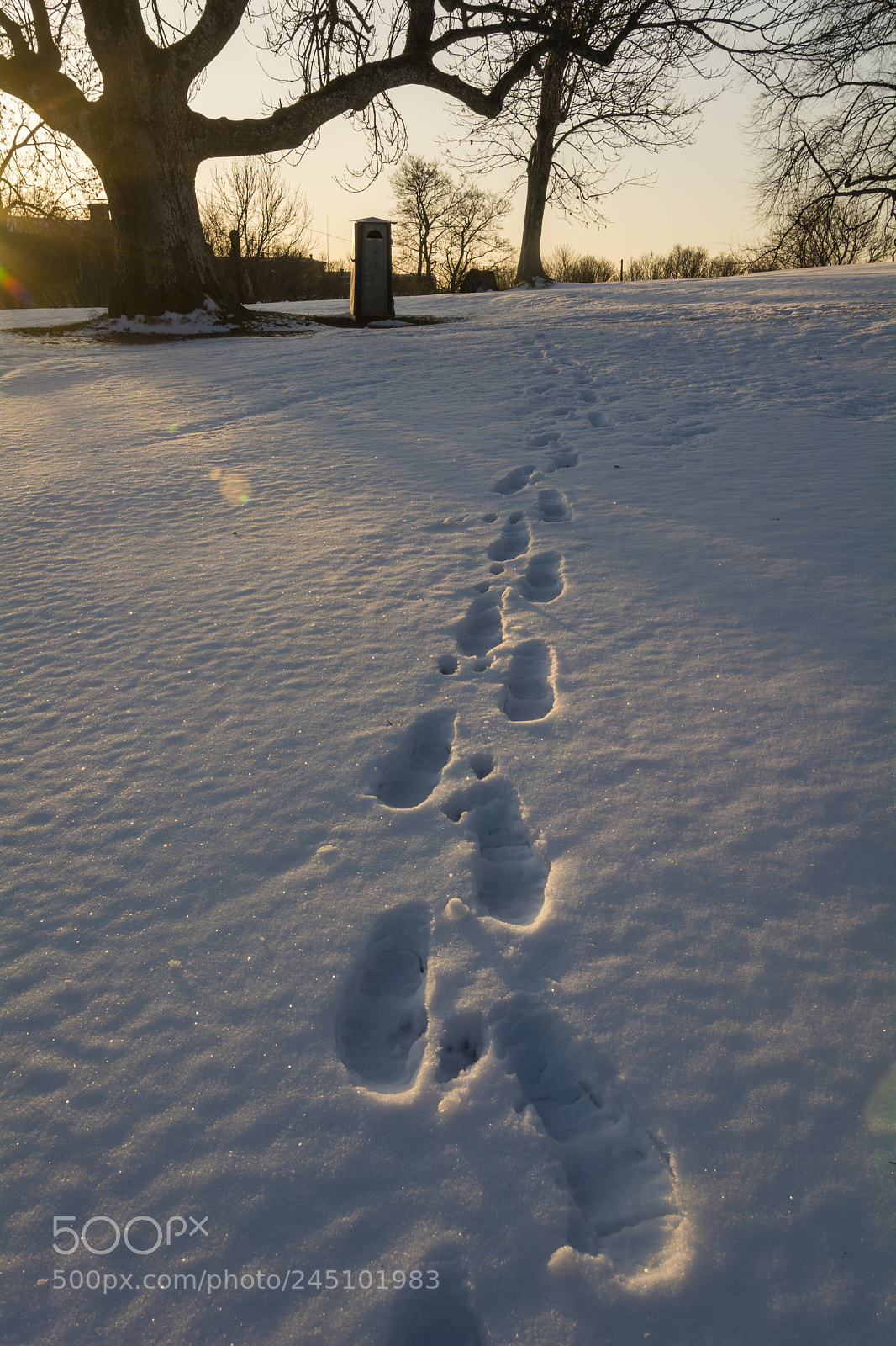 Nikon D5200 sample photo. Suomenlinna sea fortress photography
