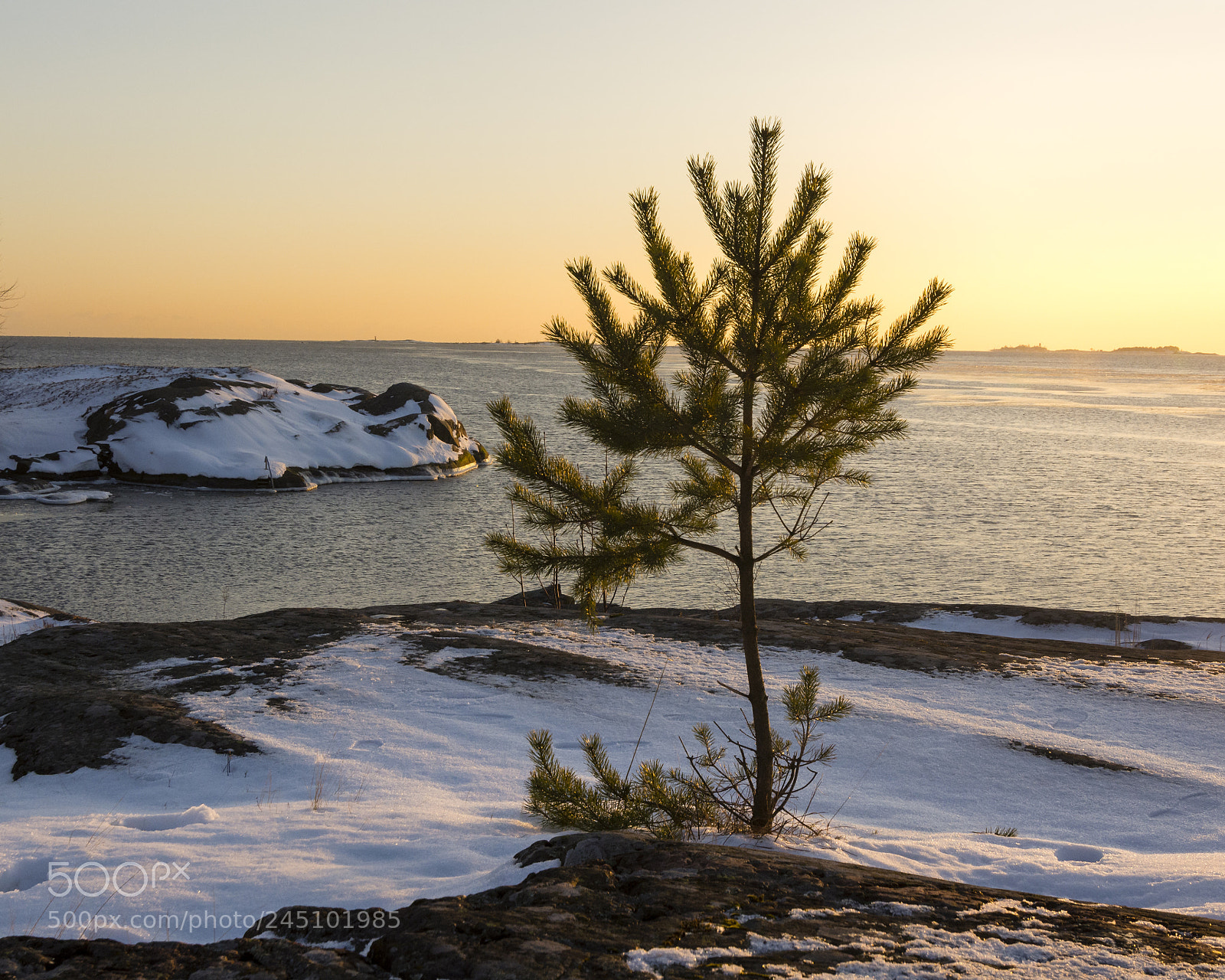 Nikon D5200 sample photo. Suomenlinna sea fortress photography