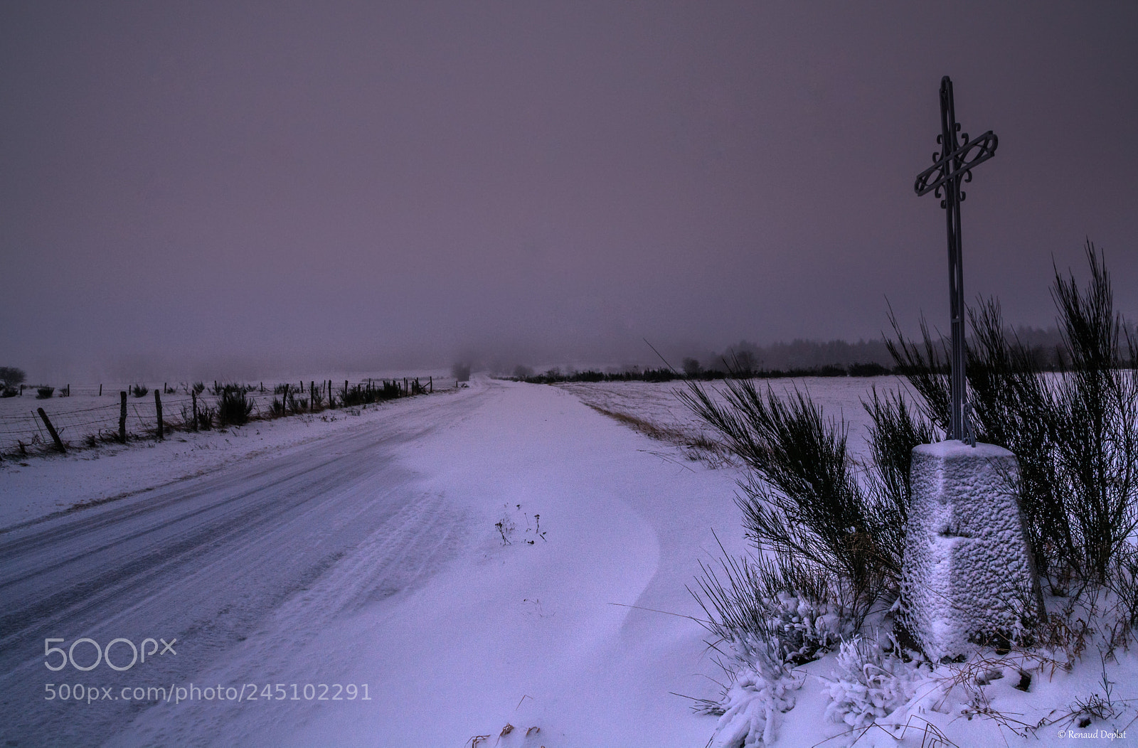 Nikon D7100 sample photo. Hiver... photography