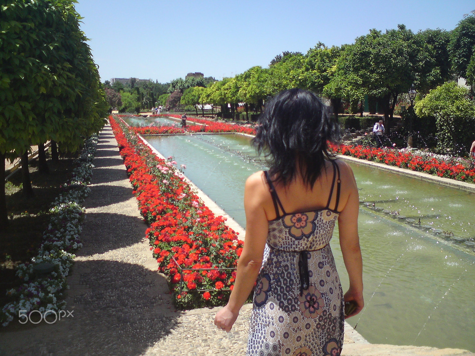 Sony Ericsson C902 sample photo. Alcazar photography