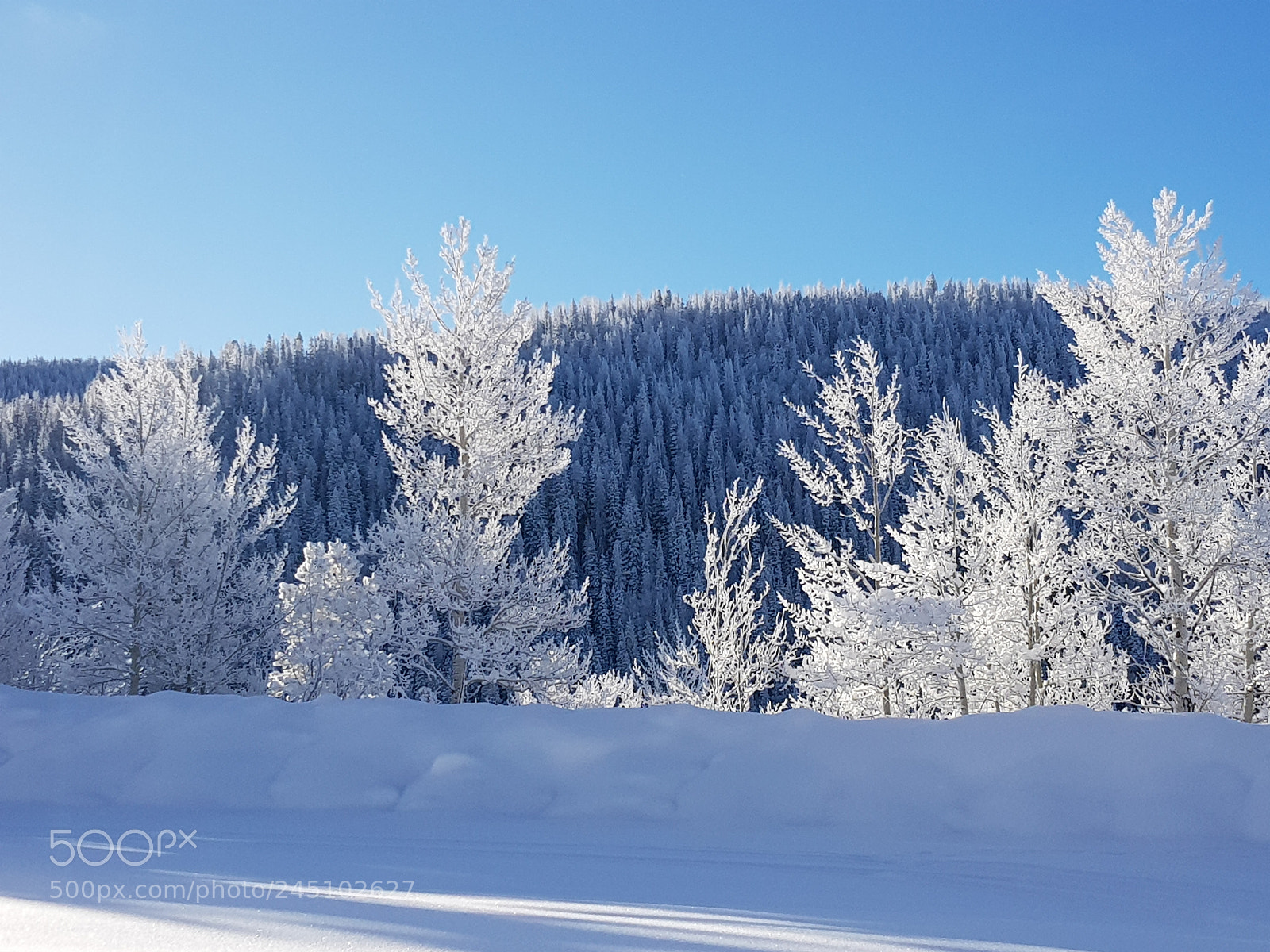 Samsung Galaxy S8 sample photo. Winter wonderland photography