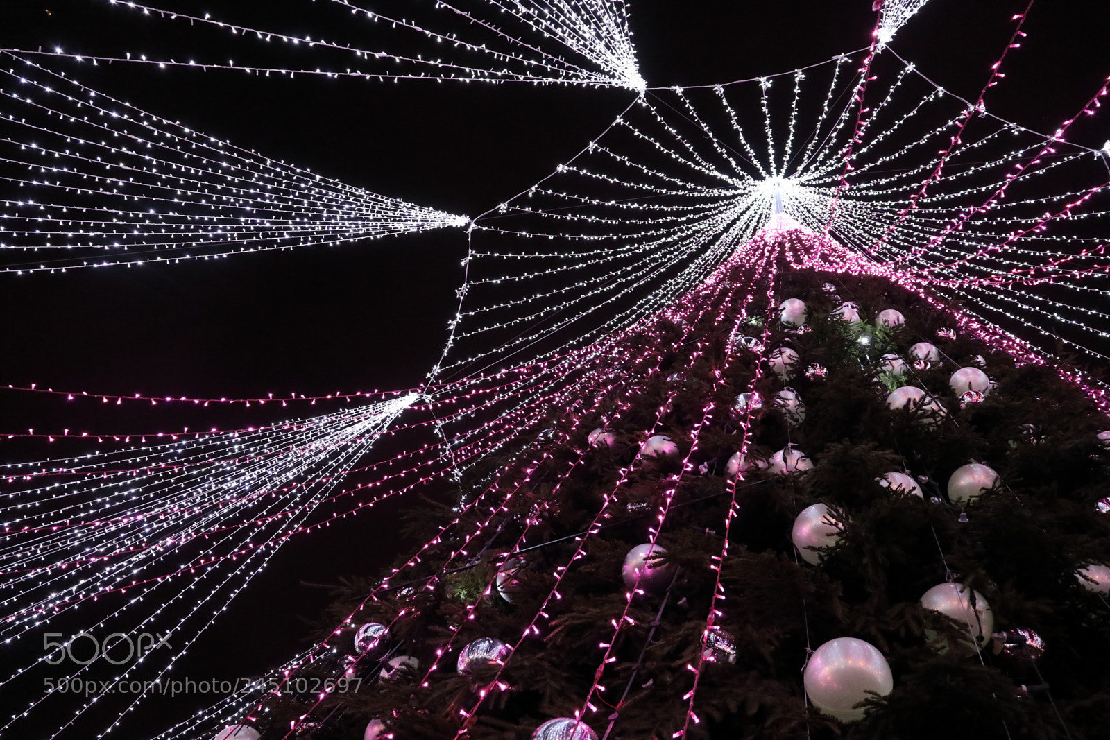 Canon EOS M5 sample photo. Vilnius christmas tree photography