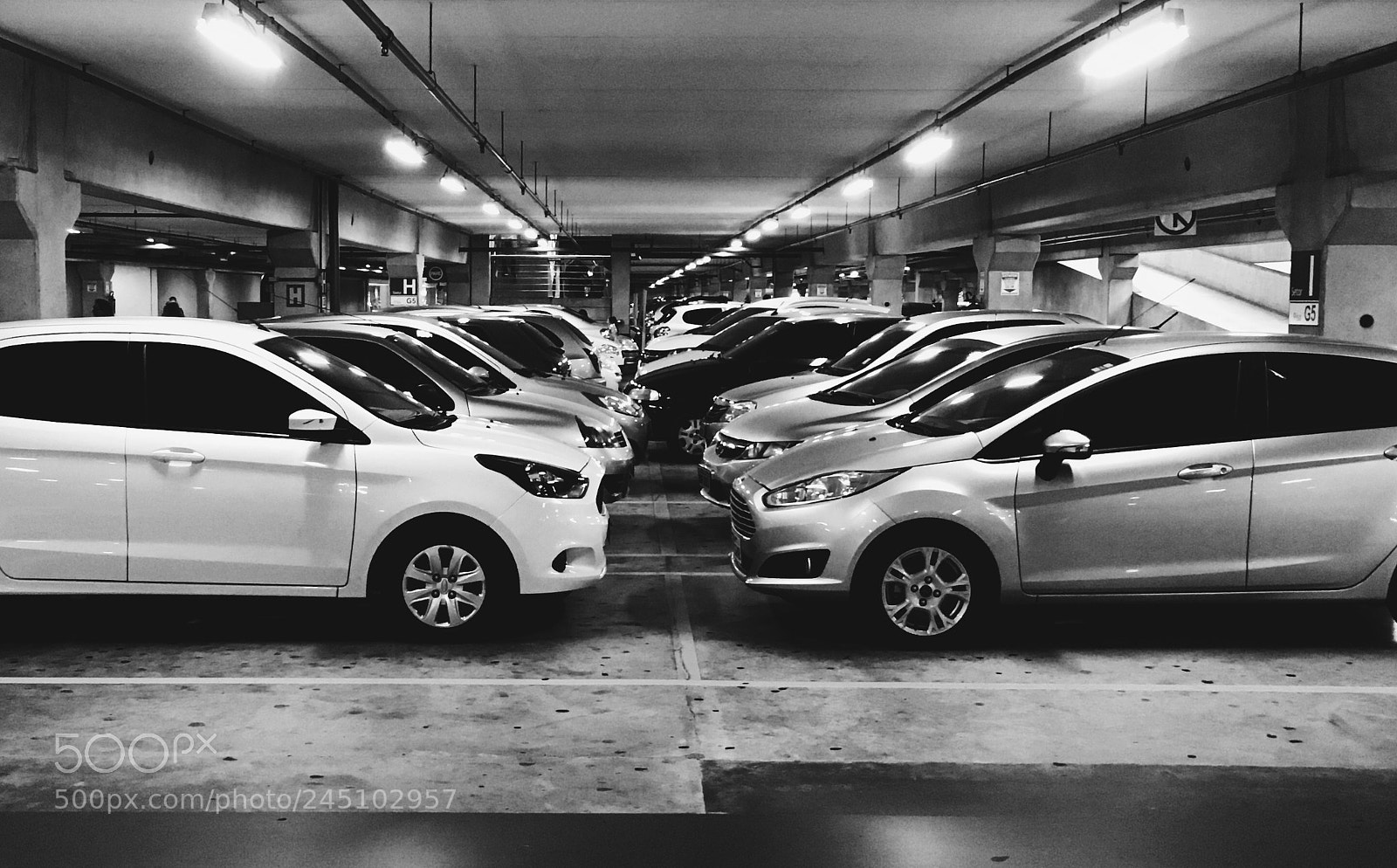 Apple iPhone SE sample photo. Untitled photography