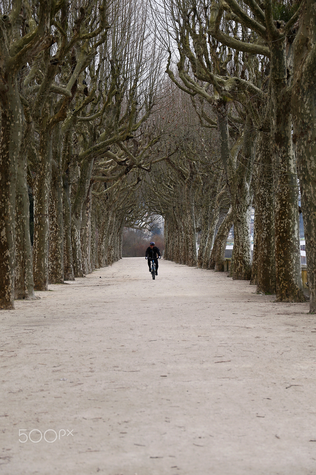 Canon EF 24-105mm F3.5-5.6 IS STM sample photo. Winter moments photography