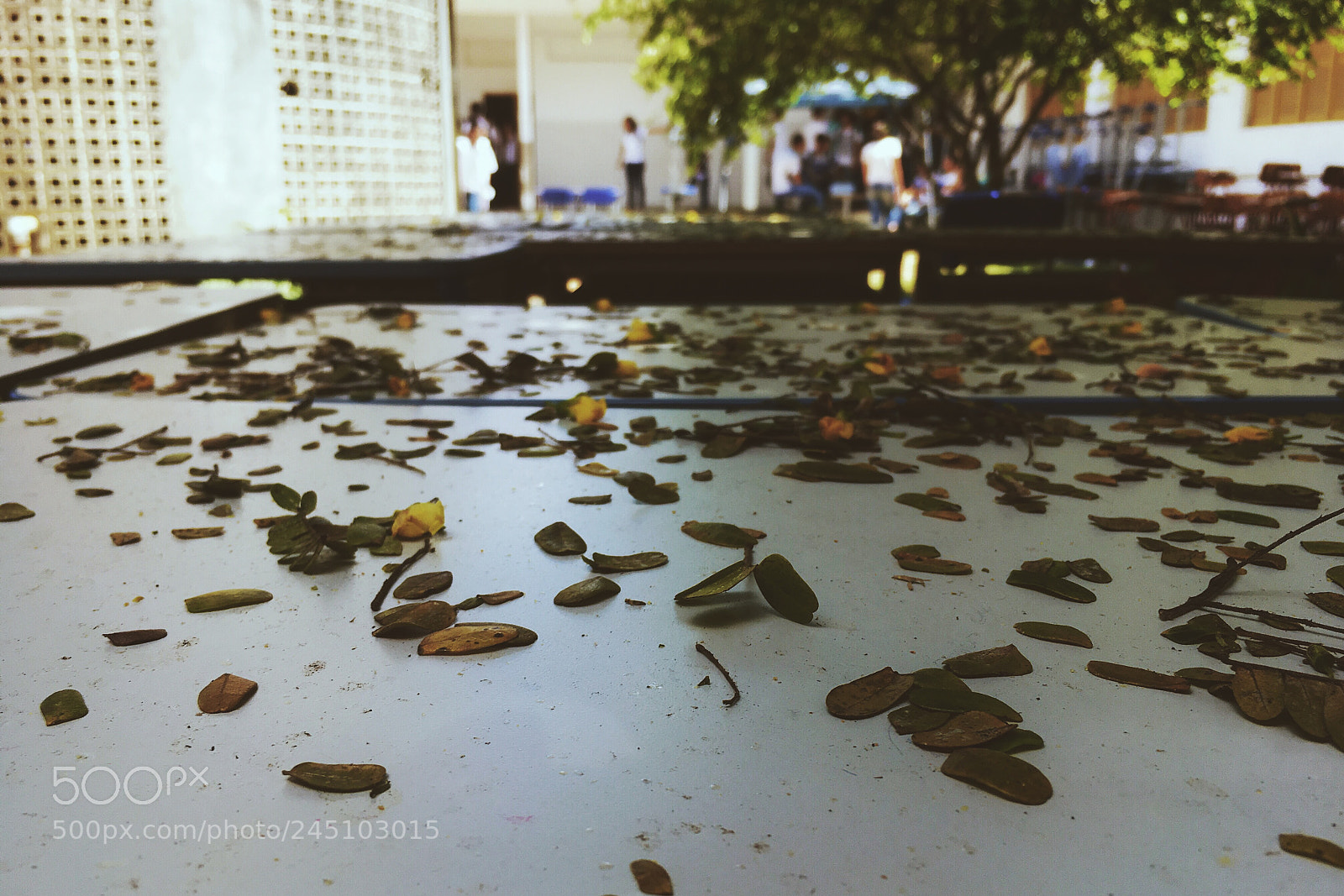 Apple iPhone SE sample photo. Untitled photography