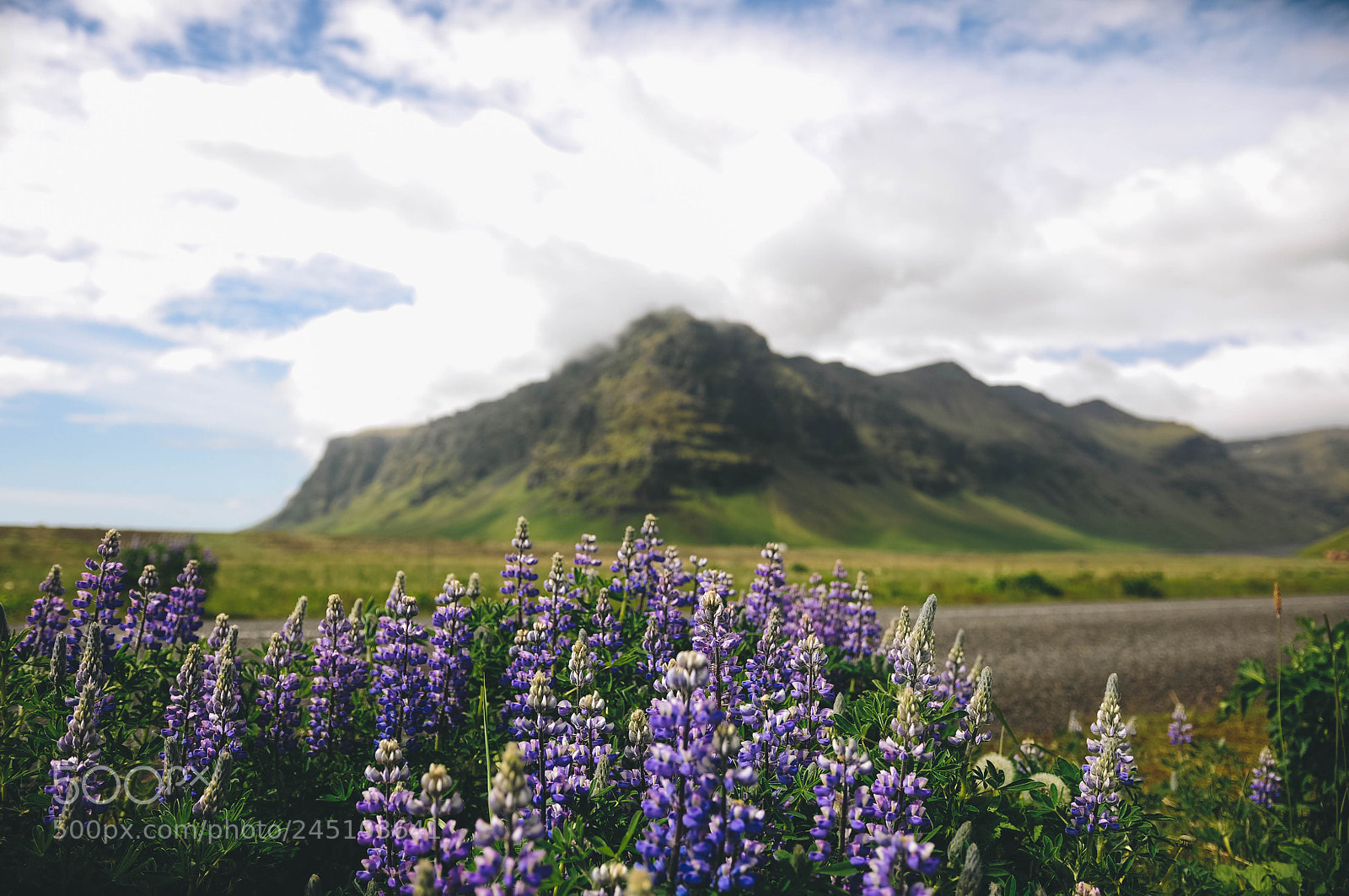 Nikon D90 sample photo. True iceland photography