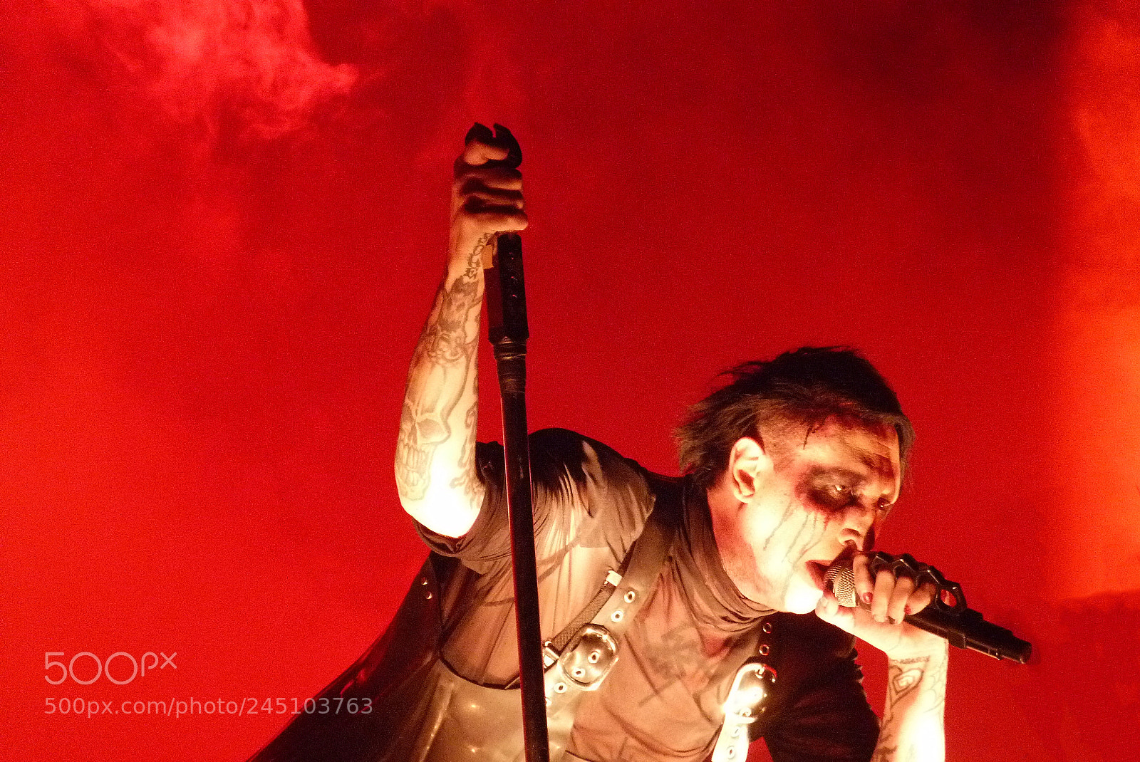 Panasonic Lumix DMC-FZ40 (Lumix DMC-FZ45) sample photo. Marilyn manson photography
