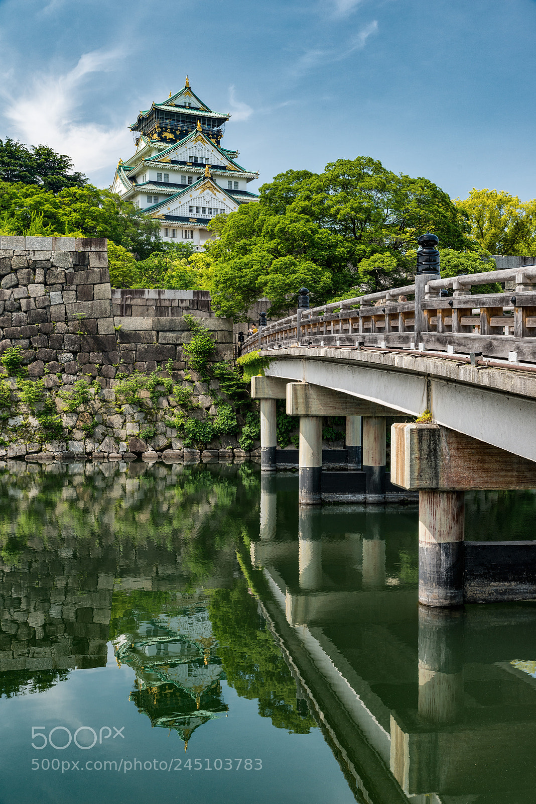 Nikon D800 sample photo. Osaka castle reflection photography