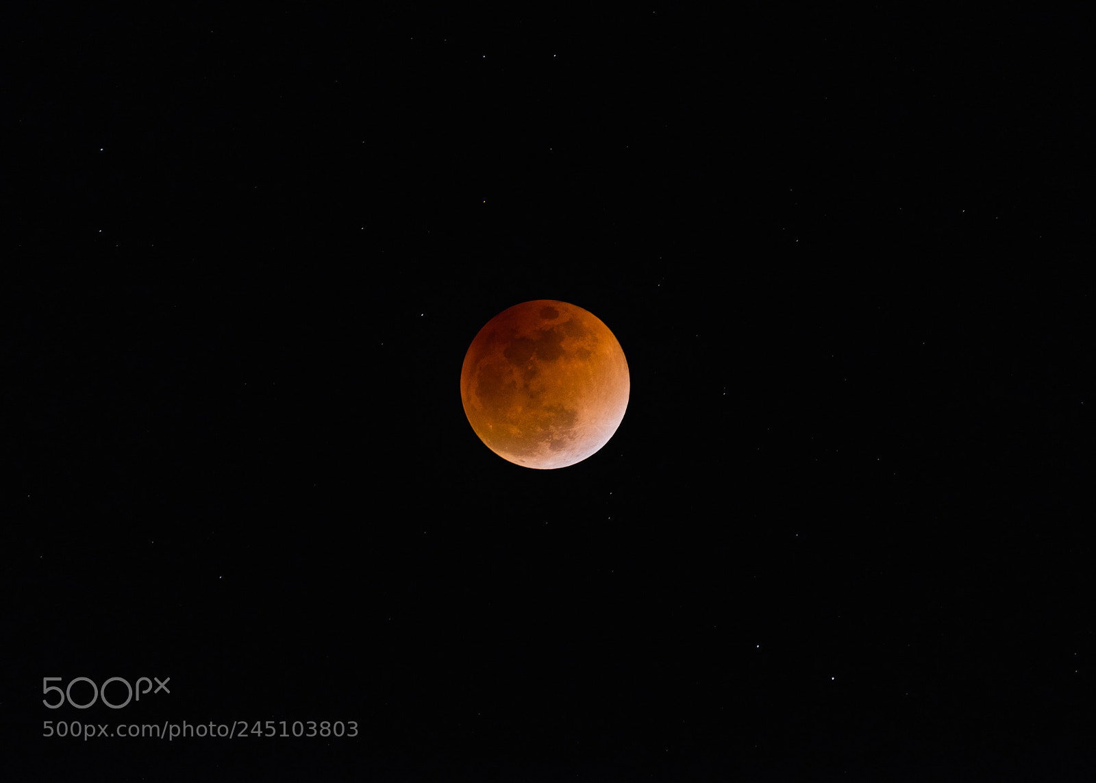 Nikon D610 sample photo. Moon : utsunomiya 1/30 photography
