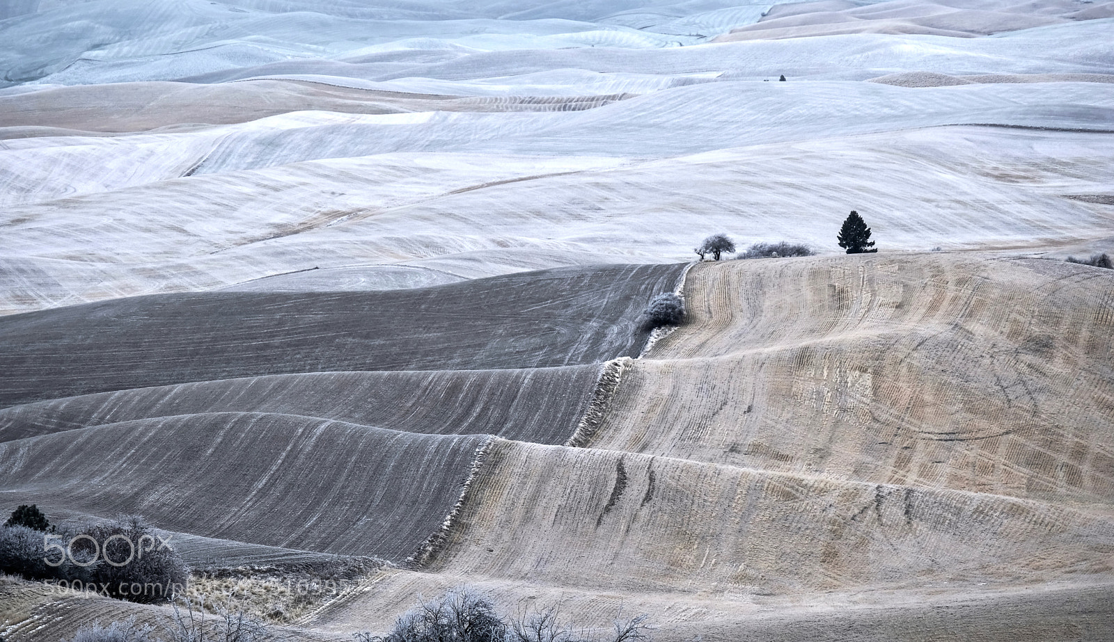 Fujifilm X-T2 sample photo. Frozen farmlands photography