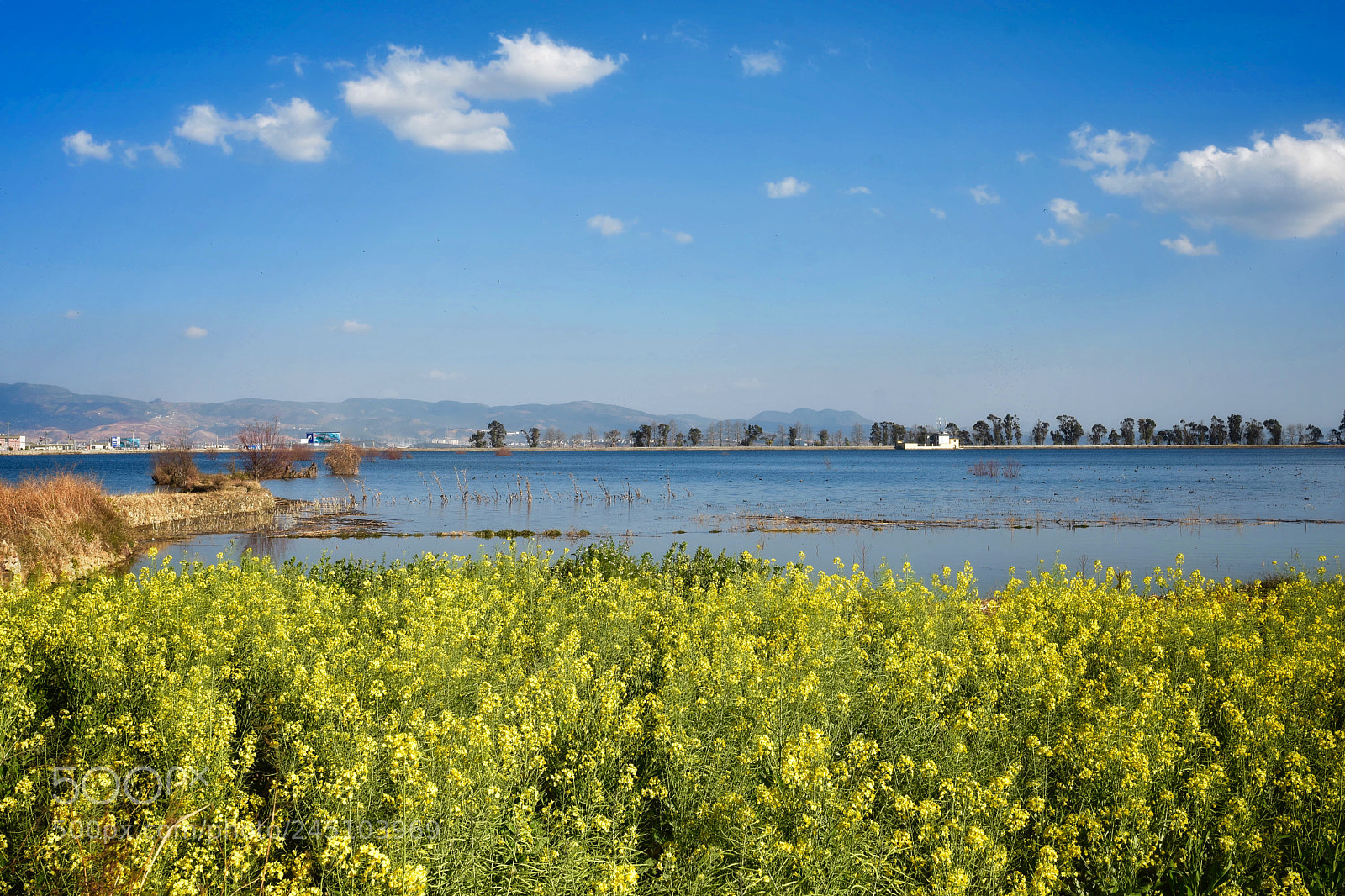 Nikon D7200 sample photo. Lake photography