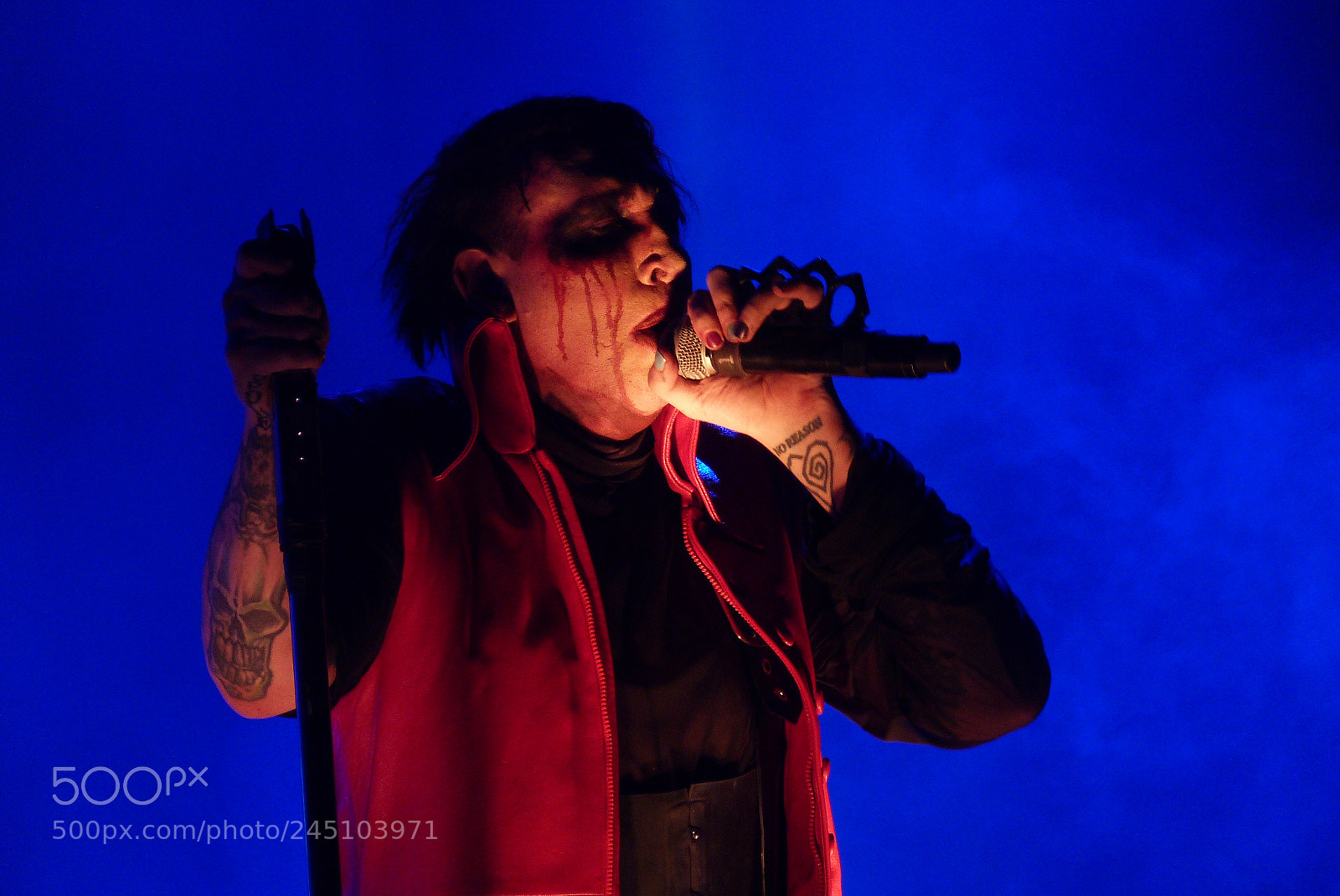 Panasonic Lumix DMC-FZ40 (Lumix DMC-FZ45) sample photo. Marilyn manson photography