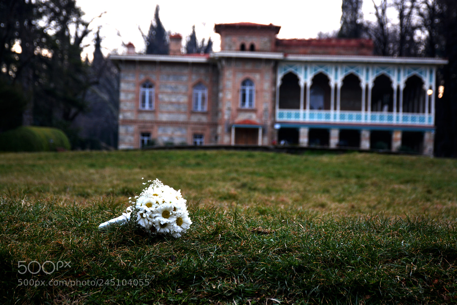 Nikon D7100 sample photo. Camomile bouquet for wedding photography