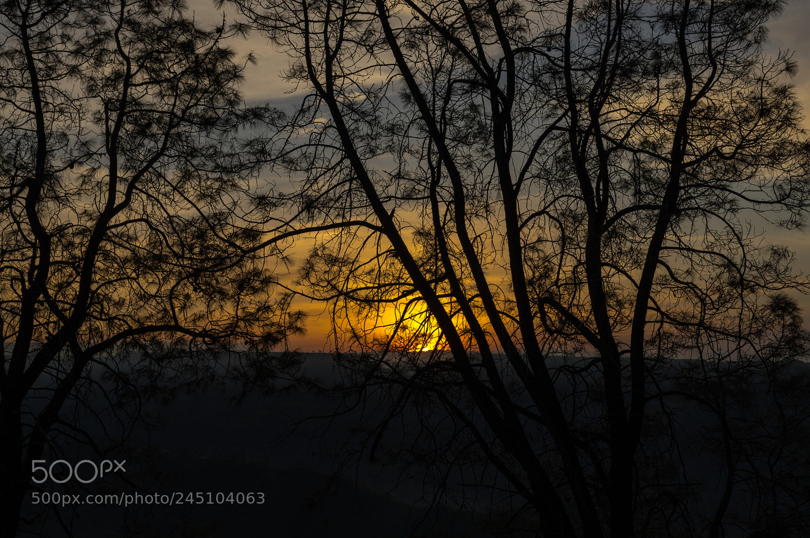 Pentax K-3 II sample photo. Millerton lake - sunrise photography